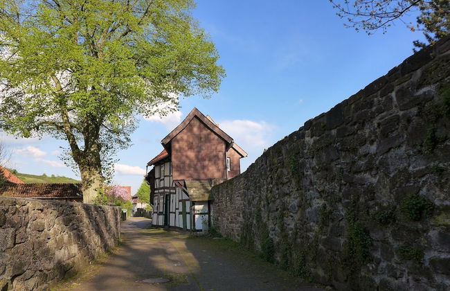 Ferienhaus am Solling - Foto 12
