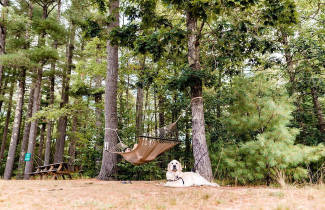 Huttopia Southern Maine - Foto 59