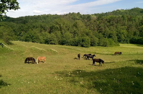 Foto 5 - La Ratatouille Agriturismo