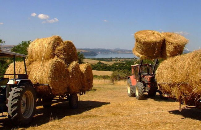 Country Relais I Due Laghi - Foto 45