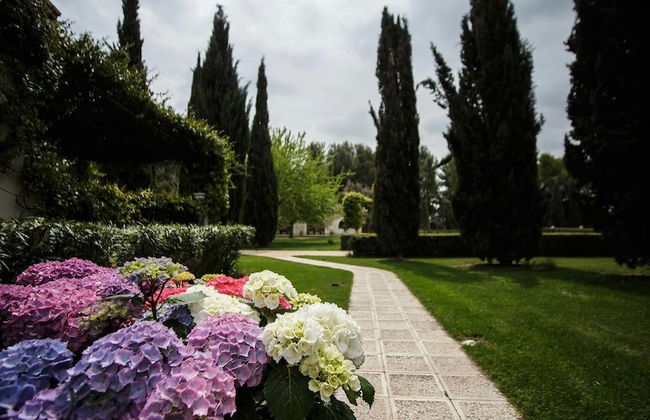 Casa Freda - Photo 29