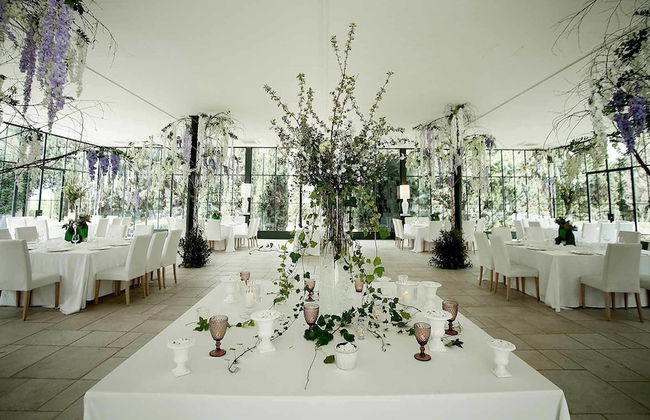 Casa Freda - Photo 10