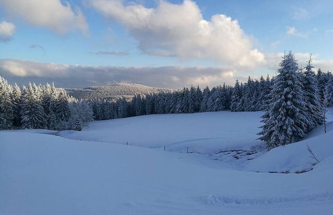 Pension Zum Glasmacher - Foto 40