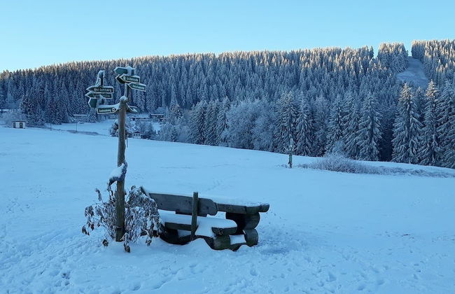 Pension Zum Glasmacher - Foto 48