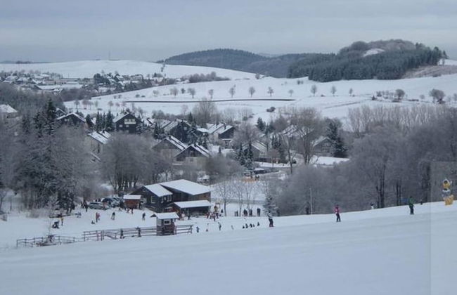 Cosy Holiday Home in Willingen-usseln With Terrace - Foto 17