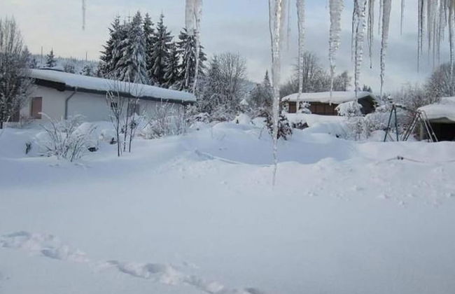 Cosy Holiday Home in Willingen-usseln With Terrace - Foto 16