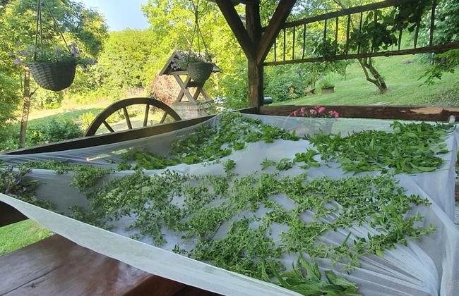 Bogdan - Countryside With hot tub - R2 - Foto 26
