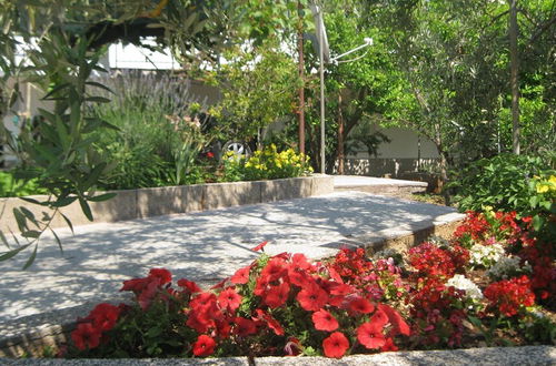 Photo 20 - Ljuba - Nice Garden - A1