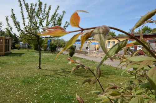 Photo 8 - Cosy Apartment in Wiek With Garden Near the sea