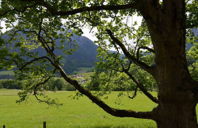 Traumhafte Wohnung im Berchtesgadener Land - Foto 17