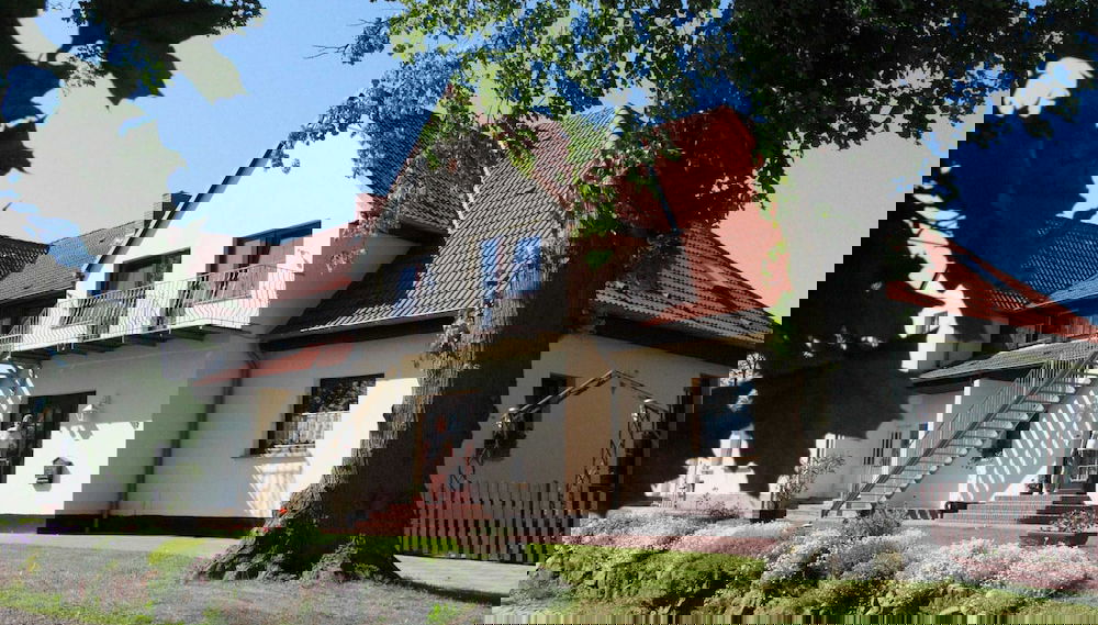 Image principale