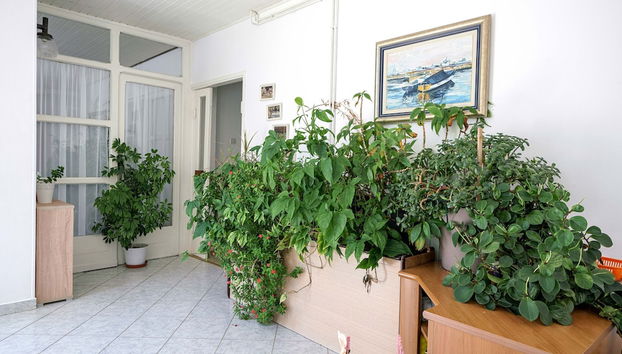 Entrada (vista interior)