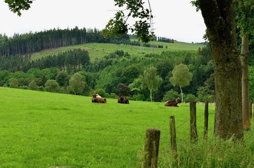 Photo 22 - A Comfortable, Large House With Wifi in Hochsauerland, Suitable for 14 Persons