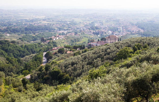 Borgo dei Gigli - Foto 38