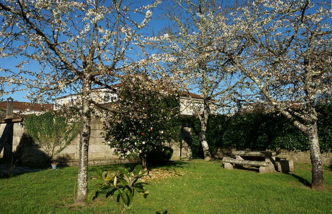 Pazo Almuzara - Foto 31