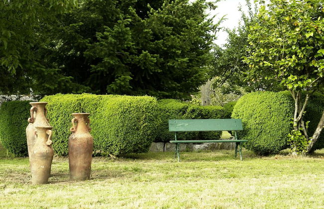 Pazo Almuzara - Foto 28