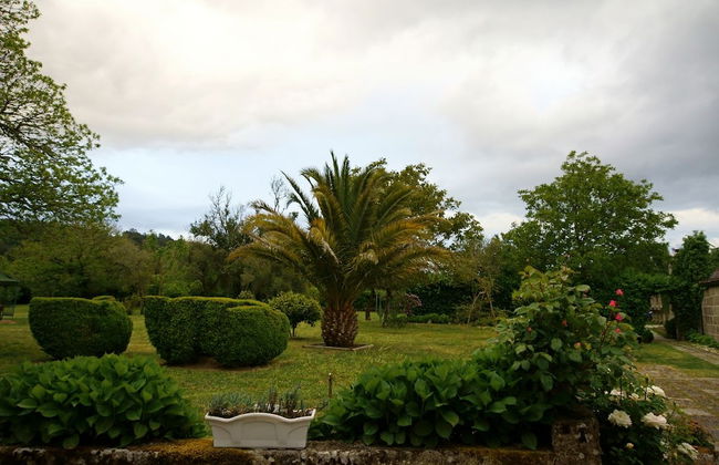 Pazo Almuzara - Foto 30