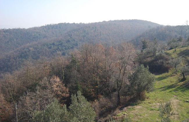 Castello di Cisterna - Foto 7