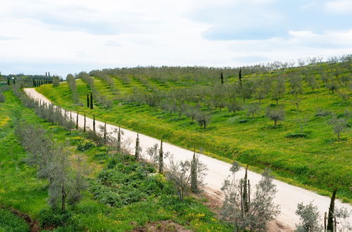 Foto 56 - Il Podere di Marfisa