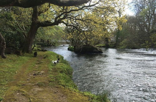 Foto 15 - Cosy Upper Lake Chalet in Wales, Dog Friendly