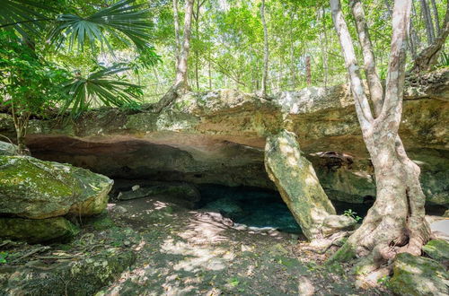 Photo 31 - Casa Alebrije 2 BR at Attha Cenote