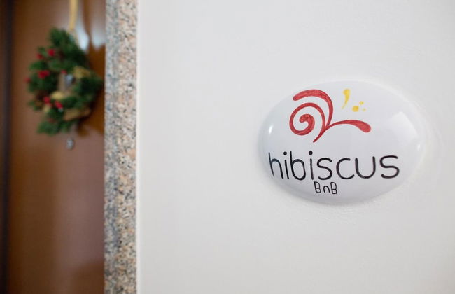 Hibiscus - Foto 39