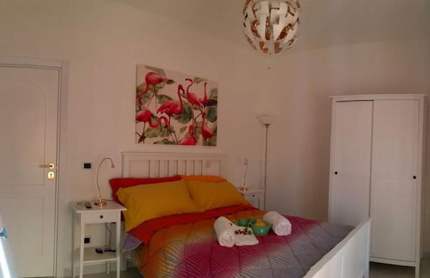 Hibiscus - Foto 20