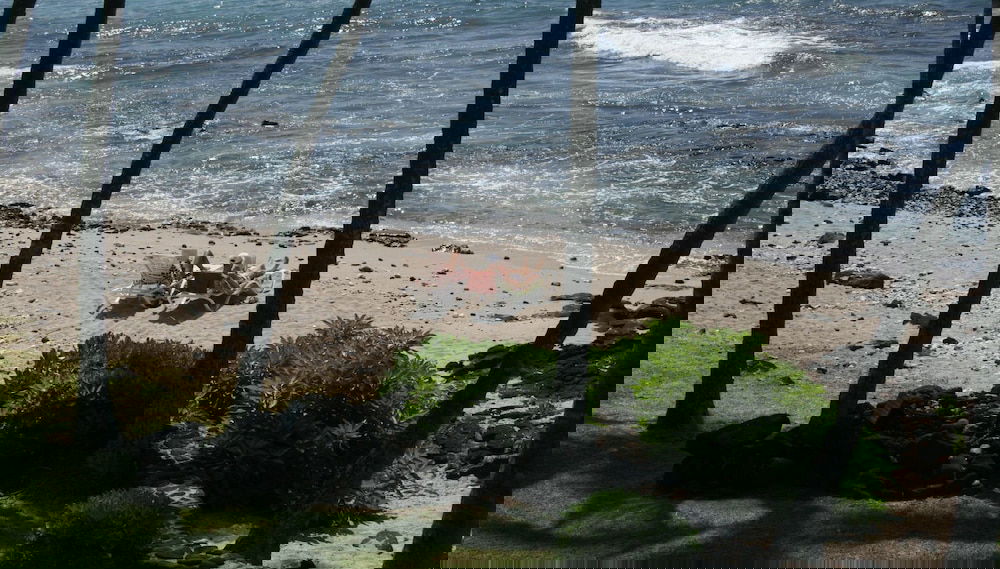 Image principale