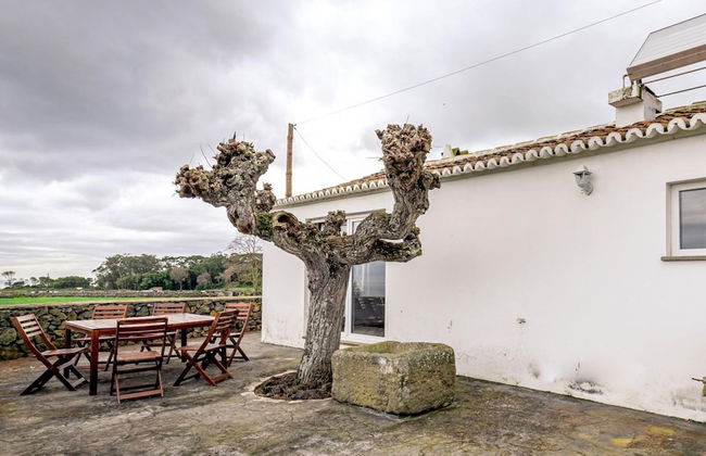 Casa dos Cal os in S o Mateus da Calheta - Foto 32