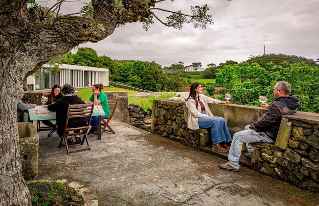 Casa dos Cal os in S o Mateus da Calheta - Foto 58