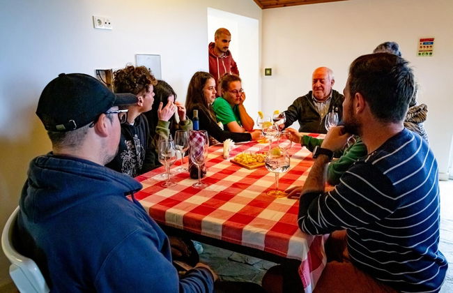 Casa dos Cal os in S o Mateus da Calheta - Foto 18