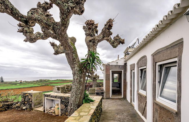 Casa dos Cal os in S o Mateus da Calheta - Foto 24