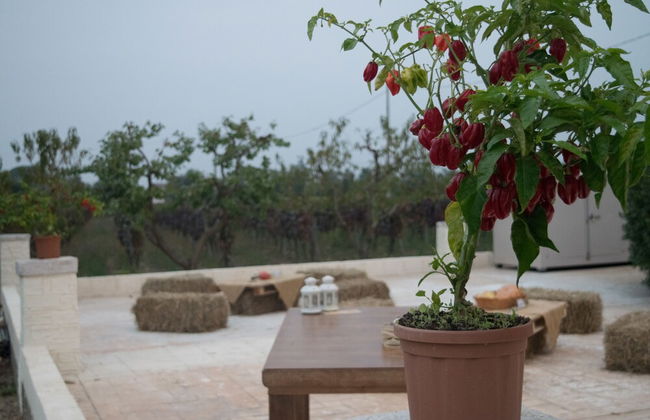 Tenuta Vigna Del Noce - Foto 32