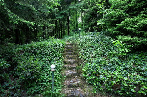 Photo 20 - Peacefully Chalet in Lanklaar With Garden