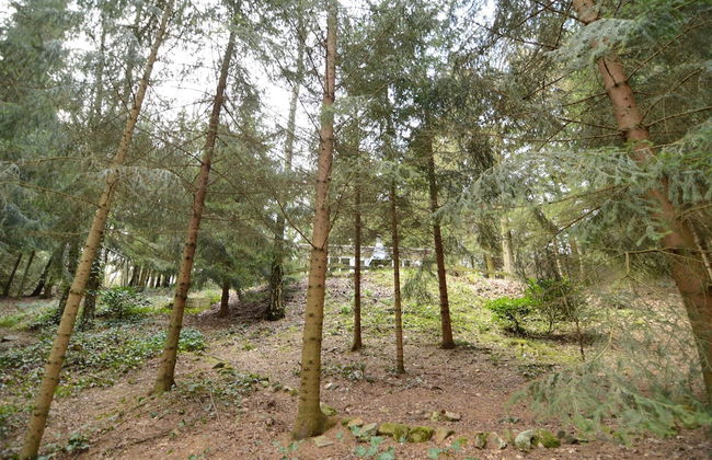 Forest Chalet in Lanklaar - Foto 18