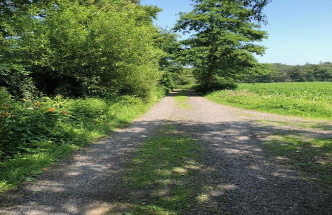 Cozy Family Home in Oostkamp - Foto 24