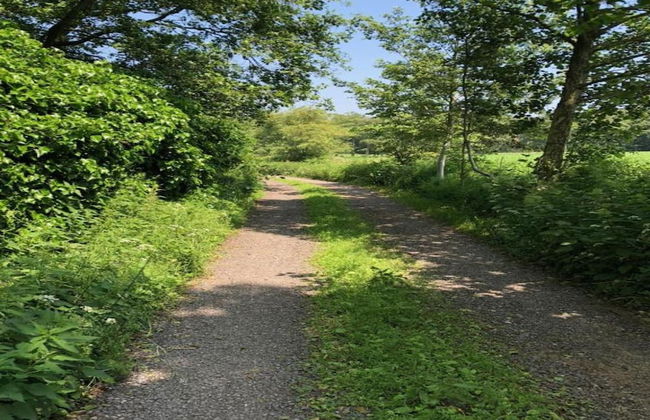 Cozy Family Home in Oostkamp - Foto 33