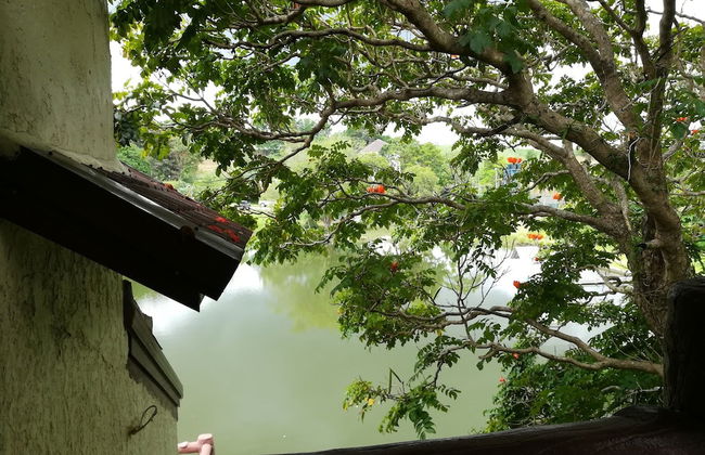 Green Hills Home - Foto 32