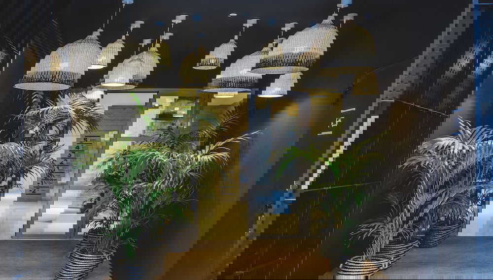 Imagem principal