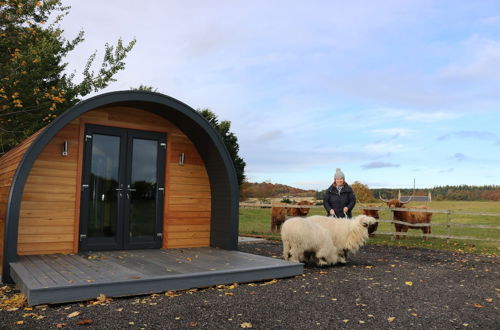 Photo 1 - Glampods - 5 Berth Glamping Pod Elgin