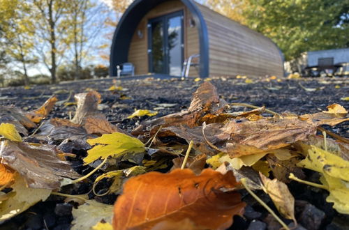 Photo 22 - Glampods - 5 Berth Glamping Pod Elgin