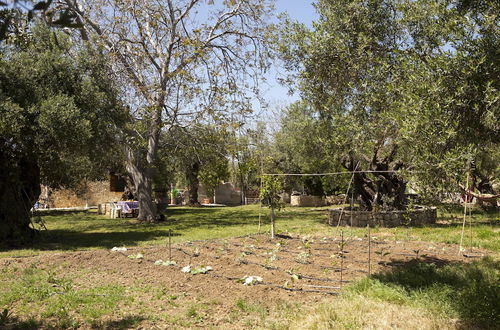 Photo 28 - Horizonte Cretan Cottage