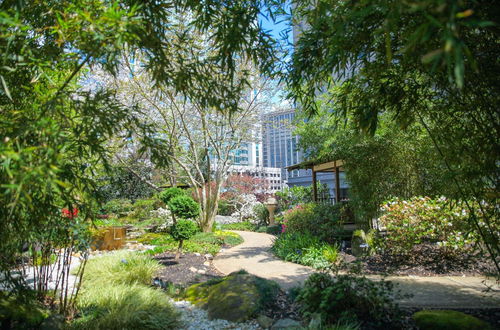 Photo 49 - Grand Hyatt Atlanta in Buckhead