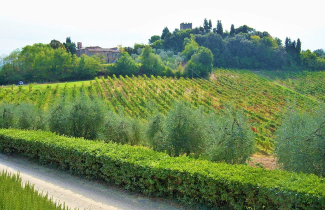 Farmhouse in Tuscany With Pool & Wine Tasting - Foto 28