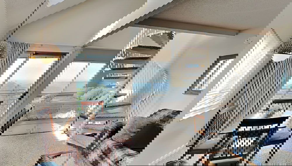 Imagem principal