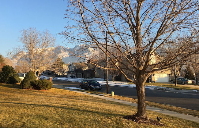 Utah Ski House - Foto 29