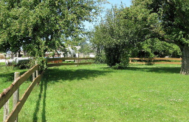 Large Group House, Beautifully Located in Eifel - Foto 33