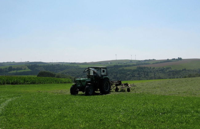 Large Group House, Beautifully Located in Eifel - Foto 35