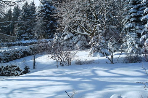 Photo 22 - Spacious Cottage in Neuastenberg Sauerland near Ski Area