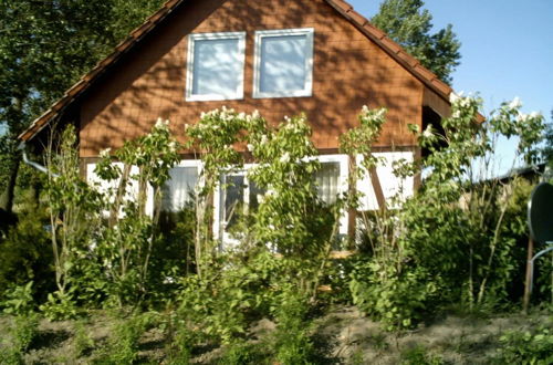 Photo 21 - Bungalow in Borgerende-rethwisch With Sauna